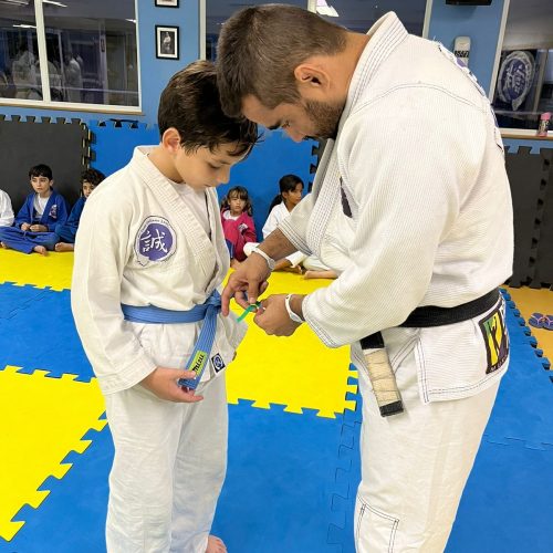 Mundo_makoto-Grau_verde-02